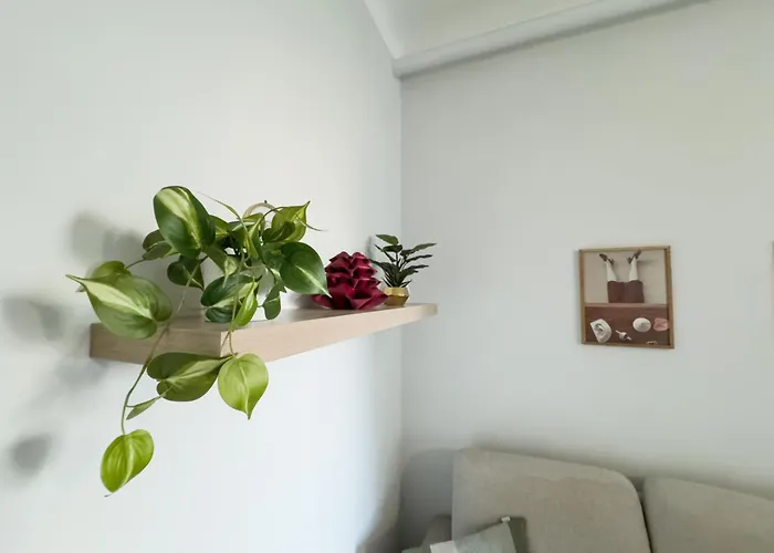 Corte Di Mi - Station & Loreto, Apartamento *